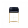 Louvre Mid-Century Modern Metal Upholstered Counter Stool in Black Bar Stool