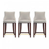 Shubert Modern Wood Upholstered Counter Stool in Light Gray - Set of 3