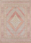 Poppy Traditional 4'0\" x 6'0\" Area Rug in Pink Indoor Area Rug