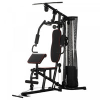 Soozier Home Gym, Multifunction Gym Equipment Power Tower With 100lbs Weight Stack For Back, Chest,