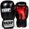 IBF Iron Body Fitness 'Pro Style' Boxing Glove - 12 Oz