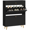 HOMCOM Shoe Storage Cabinet w/ 2 Flip Drawers for 12 Pairs of Shoes, Black