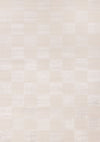 Leonardo White Grey Checkered Area Rug - 2'7\" x 4'11\"