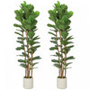 HOMCOM Faux Fiddle Leaf Fig Tree Set of 2, 6FT Faux Tree for Indoor Decor