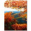 Warm Foliage Wall Art