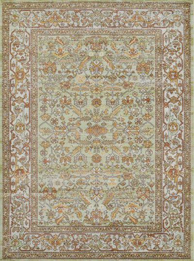 Hailey Traditional 6'7" x 9'6" Area Rug in Green Indoor Area Rug |
