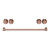 Thor Kitchen Handle and Knob Set for 30” Range in Rose Gold - CKA-RG30-RSG