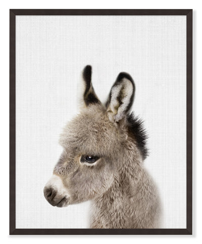 Baby Donkey Framed Artwork with a Stucco Finish – 17" x 21" | Œuvre d’art encadrée « Baby Donkey » avec fini stuc - 17 po x 21 po