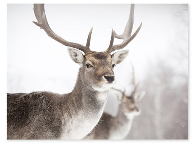 Deer Framed Artwork with Stucco Finish – 27" x 35" | Œuvre d’art encadrée « Deer » avec fini stuc - 27 po x 35 po