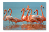 Flamingos 24x36 Wall Art Frame And Fabric Panel
