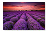 Lavender Sunset 16x24 Wall Art Frame And Fabric Panel