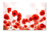 Poppy Field 16x24 Wall Art Frame And Fabric Panel