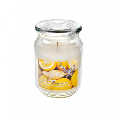 18 Oz Scented Glass Jar with Glass Lid Citrus Ginger - Set of 2 Candle|Pot parfumé de 18 oz en verre à arôme d’agrumes et gingembre avec couvercle en verre - ensemble de 2 bougies