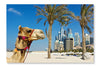 Camel At The Urban Building Background Of Dubai 24x36 Wall Art Frame And Fabric Panel