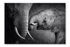 Elephant Affection 24x36 Wall Art Frame And Fabric Panel