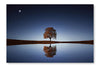 Tree Near Lake At Night 28x42 Wall Art Frame And Fabric Panel