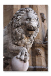 Old Lion Sculpture 28x42 Wall Art Frame And Fabric Panel
