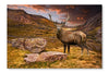 Red Deer Stag In Moody Dramatic Mountain Sunset Landscape 28x42 Wall Art Frame And Fabric Panel
