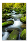 Slowing Water Down A Stream 24x36 Wall Art Frame And Fabric Panel