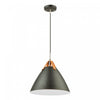 Tote 1-Light Black Pendant I