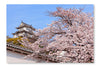 Pink Cherry Blossoms Flower With Japan Castle 16x24 Wall Art Frame And Fabric Panel