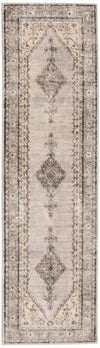 Octavian Bijar Ivory Area Rug - 2'7\" x 8'2\"