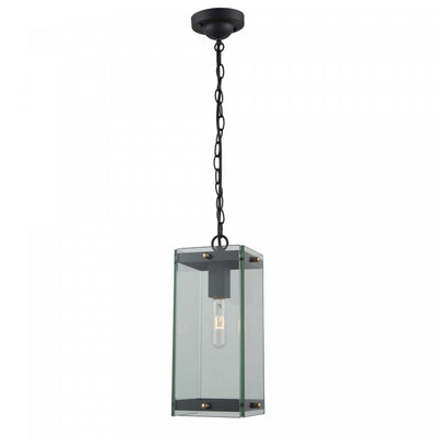 Bradgate 1-Light Outdoor Pendant II