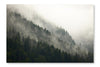 Forest Fog 16x24 Wall Art Frame And Fabric Panel