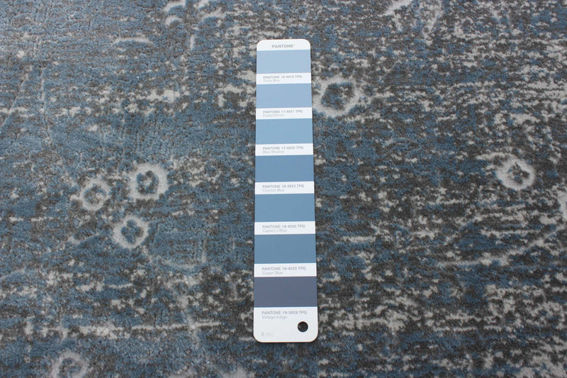 Dayna Blue, Grey Rug 6'7\" X 9'6\" Area Rug