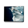 \"Approach\" Canvas Framed Black 24x18 Wall Art