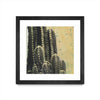 \"Desert Dreams Iv\" Matted and Framed Black 36x36 Wall Art