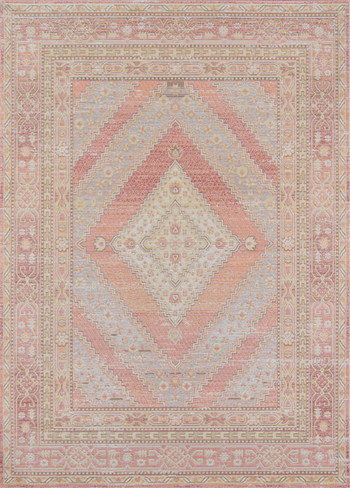 Poppy Traditional 7'10\" x 10'6\" Area Rug in Pink Indoor Area Rug