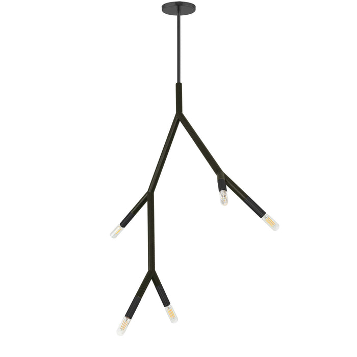 Dainolite Morgan 5 Light Pendant Matte Black Finish Lamp