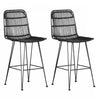 Balka Rattan 2-Piece Counter-Height Bar Stool - Black