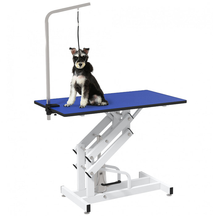 Pawhut Dog Grooming Table, Deluxe Professional Pet Grooming Table For Larger Dogs Z-lift Hydraulic With Arm Noose - Blue
