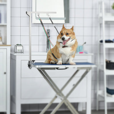 PawHut Dog Grooming Arm with Clamp and 3 Loops, 36 Inch Stainless Steel Foldable No Sit Haunch Holder, Fully Adjustable Height and Reach for Small and Medium Dogs, Silver