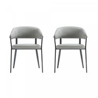 Belle Modern Metal Upholstered Dining Chair in Stone Gray - Set of 2 