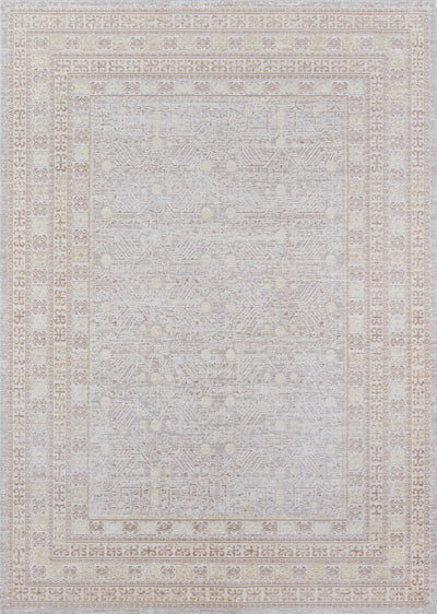 Valeria Traditional 4'0" x 6'0" Area Rug in Grey Indoor Area Rug | Tapis Traditionnel Valeria 4'0" x 6'0" en Gris