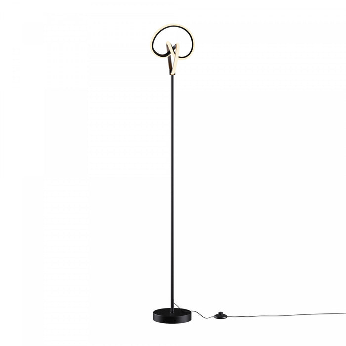 58\" Matte Black Twisted Circle Design LED Floor Lamp