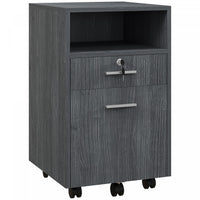 Vinsetto 2 Drawer Filing Cabinet with Lock for A4 Letter Size, Grey