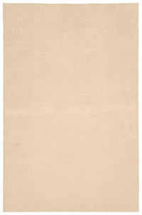 Elion Contemporary Beige Washable Rug 5'0