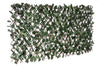 Willow Expandable Ivy Trellis - 36\" x 72\"