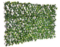 Willow Expandable Gardenia Trellis - 40