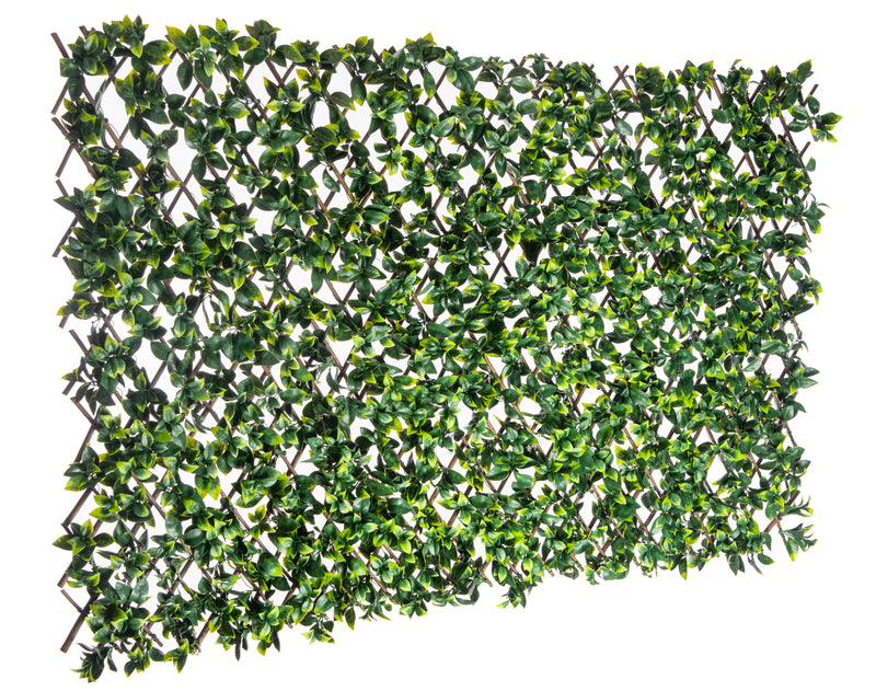 Willow Expandable Gardenia Trellis - 40\" x 80\" 