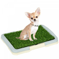 Pawhut Dog Grass Pad with Tray 15