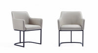 Serena Modern Metal Vegan Leather Armchair in Light Gray - Set of 2 Dining Chair 