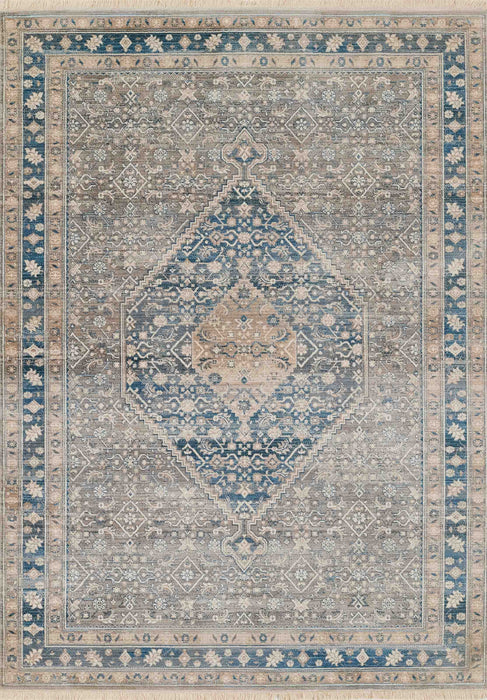 Lucia Traditional 9'0\" x 12'0\" Area Rug in Blue Indoor Area Rug