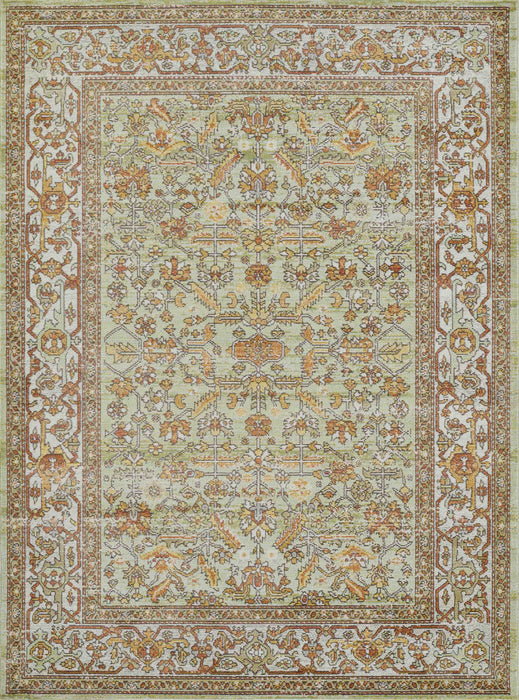 Hailey Traditional 5'3\" x 7'3\" Area Rug in Green Indoor Area Rug