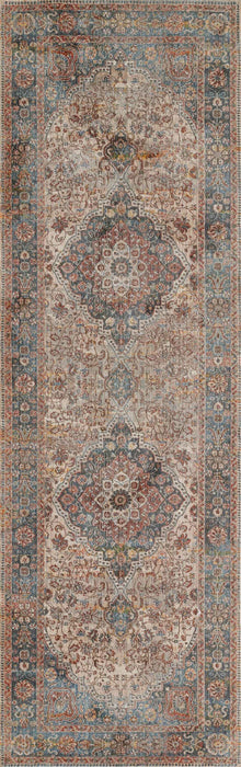Irina Traditional 2'6\" x Runner Rug in Multi Indoor Area Rug