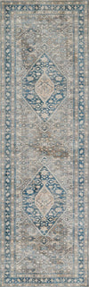 Lucia Traditional 2'6\" x 8'0\" Runner Rug in Blue Indoor Area Rug